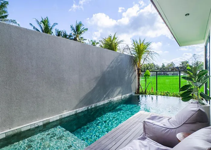 Nasha Villa *